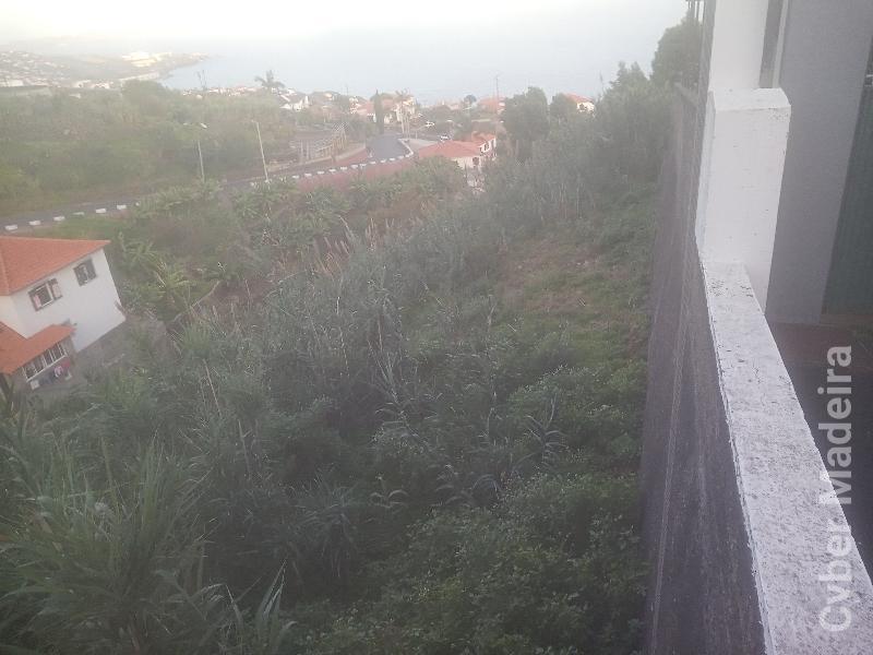 Terreno Outros para Venda Gaula, Povo
