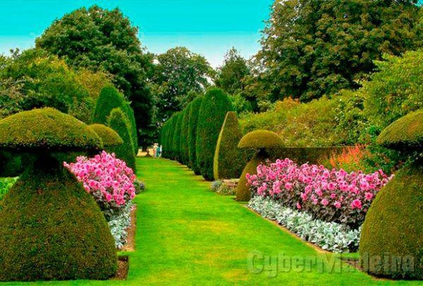 Trabalhos de Jardinagem
