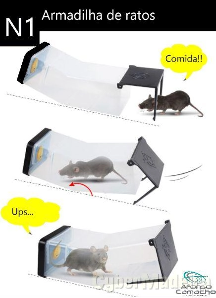 Armadilhas para ratos