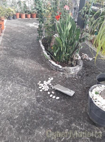 Calceteiro e Pedreiro e Jardineiro