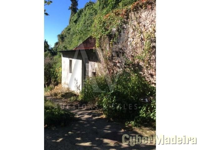 Terreno Outros para Venda São Gonçalo, Conde Carvalhal