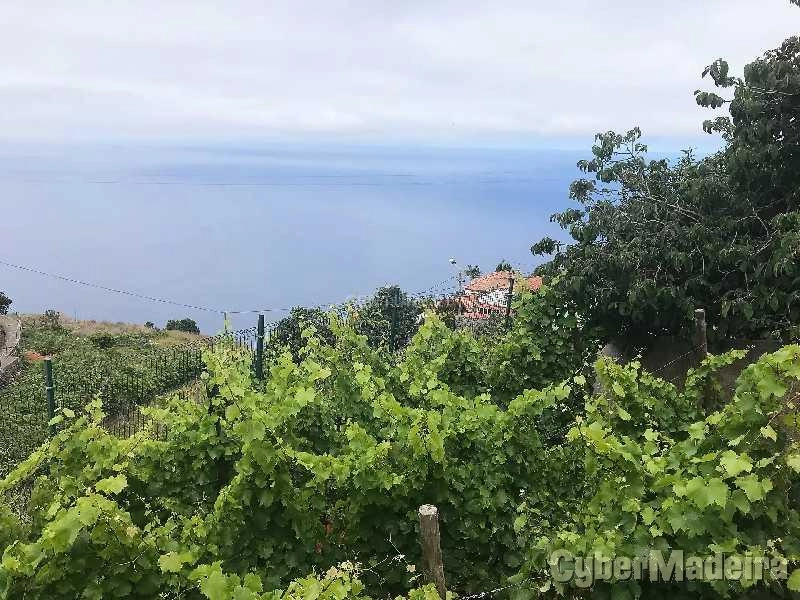 Apartamento T2 para Venda Fajã da Ovelha, Fajã da Ovelha