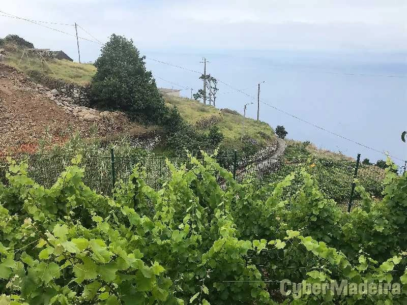 Apartamento T2 para Venda Fajã da Ovelha, Fajã da Ovelha