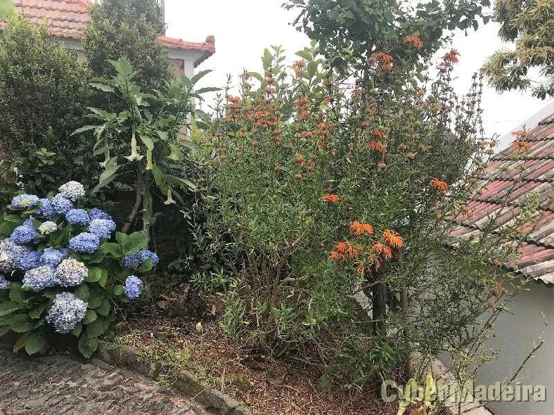 Apartamento T2 para Venda Fajã da Ovelha, Fajã da Ovelha