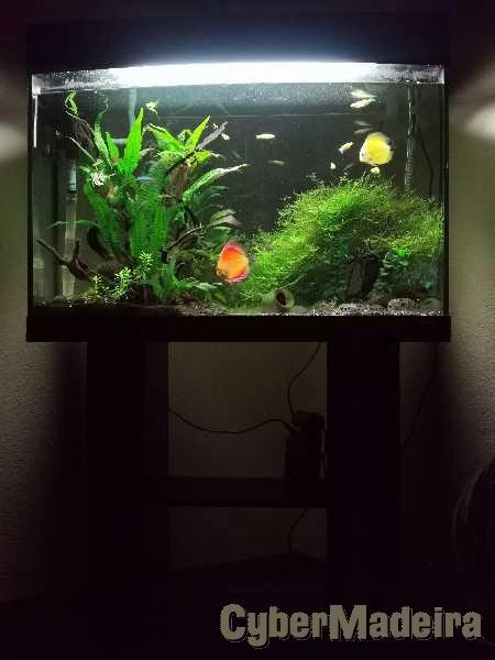 Aquario completo.