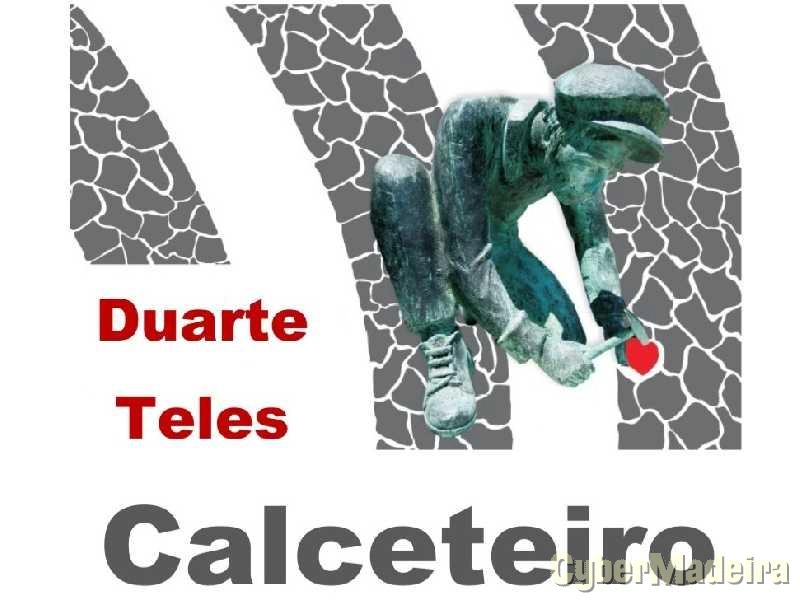Calceteiro e Pedreiro e Jardineiro
