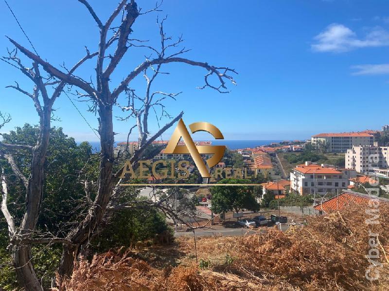 Terreno Outros para Venda Caniço, Azenha