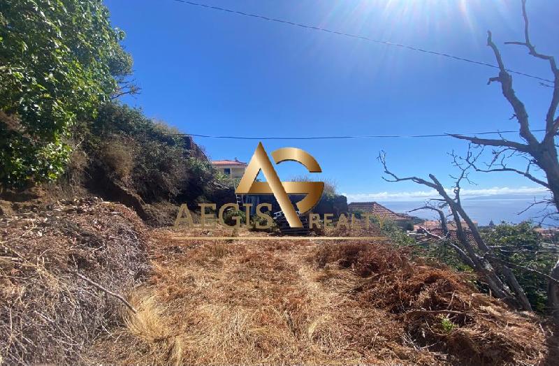 Terreno Outros para Venda Caniço, Azenha