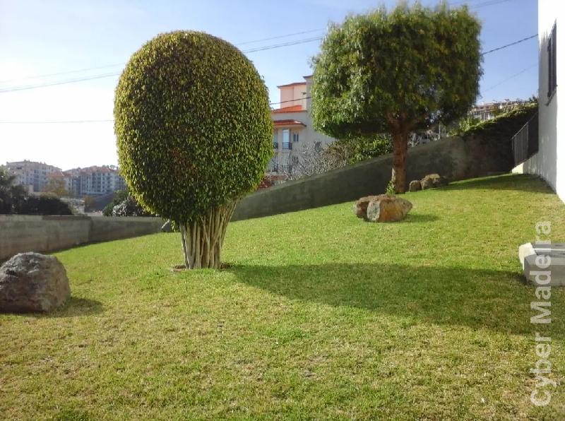 Apartamento T2 para Venda Caniço, Garajau