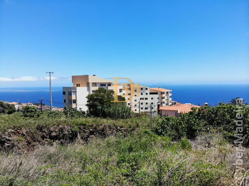 Terreno Outros para Venda Caniço, Santa Cruz