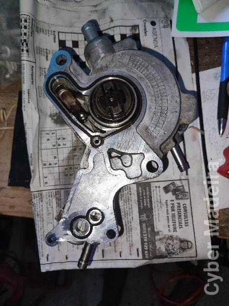 Bomba tandem Audi WW  depressor bomba gasóleo  Bomba tandem Audi WW  depressor bomba gasóleo  Gasóleo 100