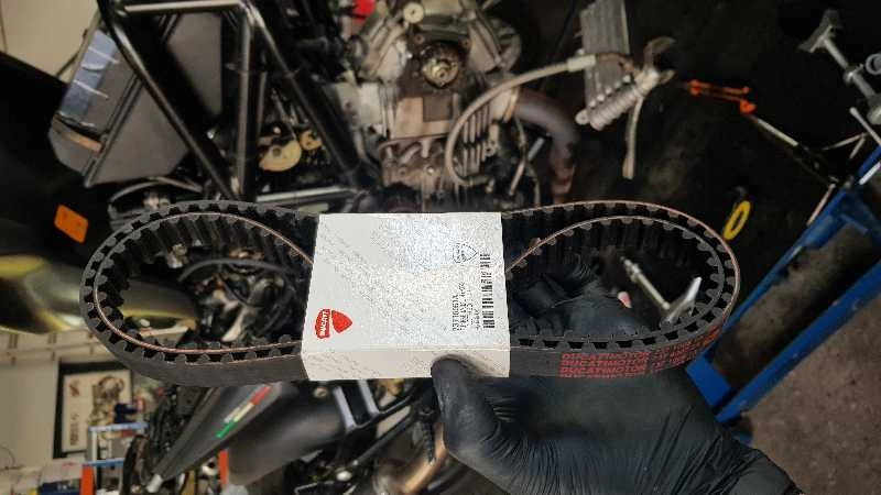 Ducati Monster 600, 620, 695, 750 e 800 - Correias distribuição