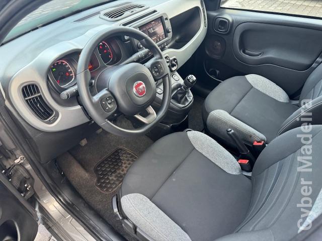 FIAT PANDA 1.0 HYBRID CITY LIFE Gasolina