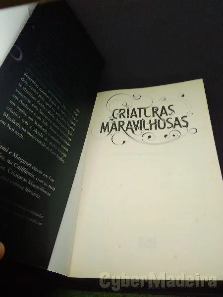 4-livro Novos,Uma mansãoda Bruna,Criaturas Maravilhosas,Louca por compras e a Irmã.