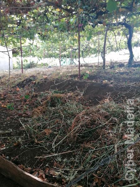 Terreno Outros para Venda Canhas, Centro