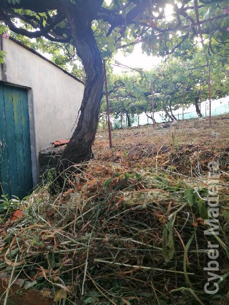 Terreno Outros para Venda Canhas, Centro