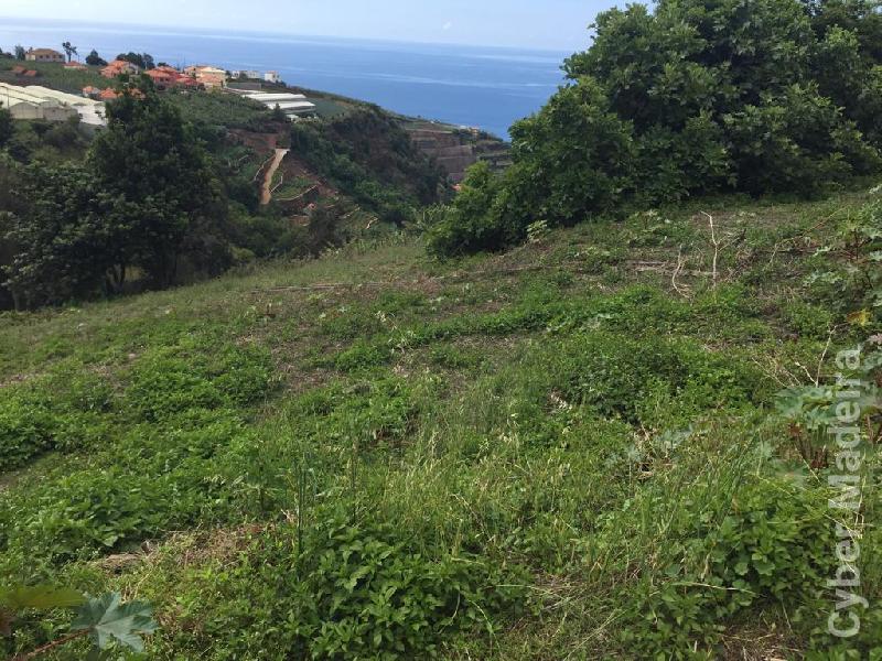 Terreno T0 para Venda Canhas, Centro