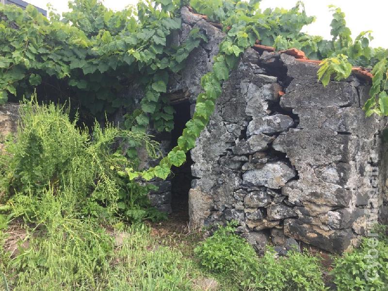 Terreno T0 para Venda Canhas, Centro