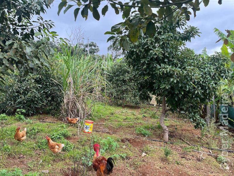 Terreno T0 para Venda Canhas, Centro