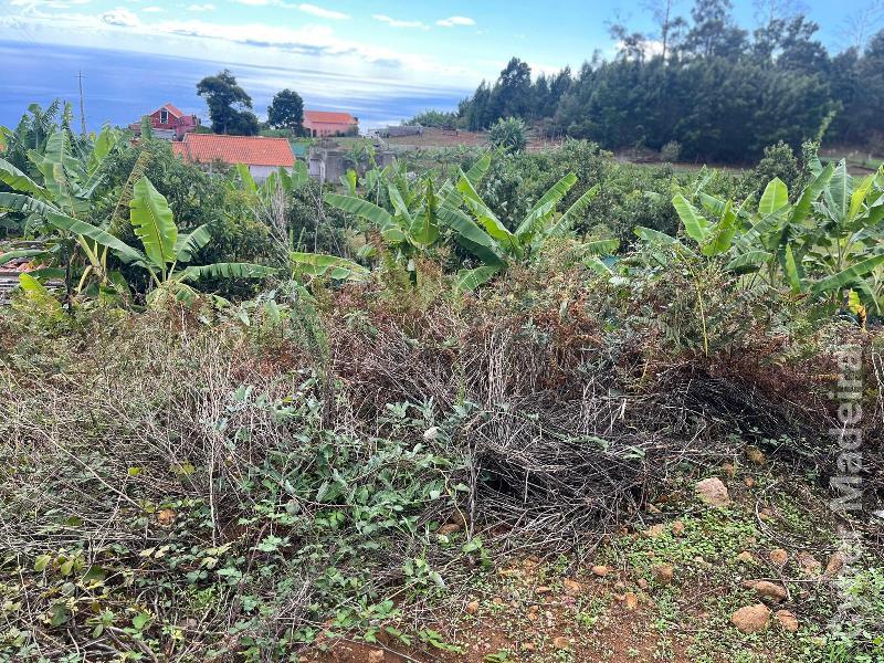 Terreno T0 para Venda Canhas, Centro
