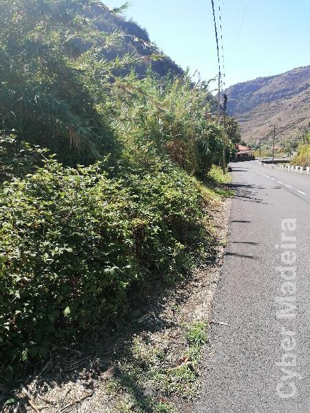 Terreno T1 para Venda Tabúa, Lugar da Serra