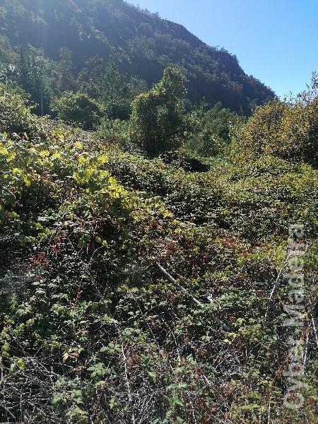Terreno T1 para Venda Tabúa, Lugar da Serra