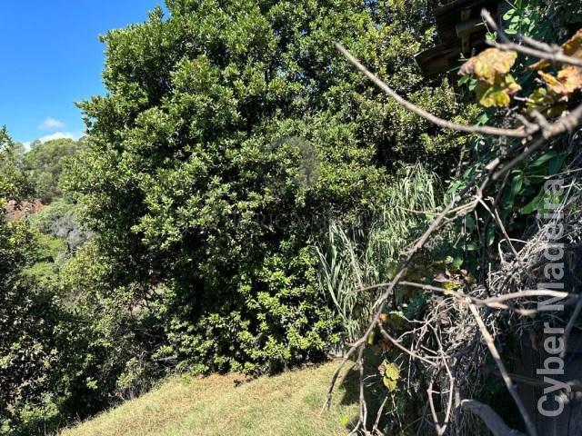 Terreno Outros para Venda São Gonçalo, Neves