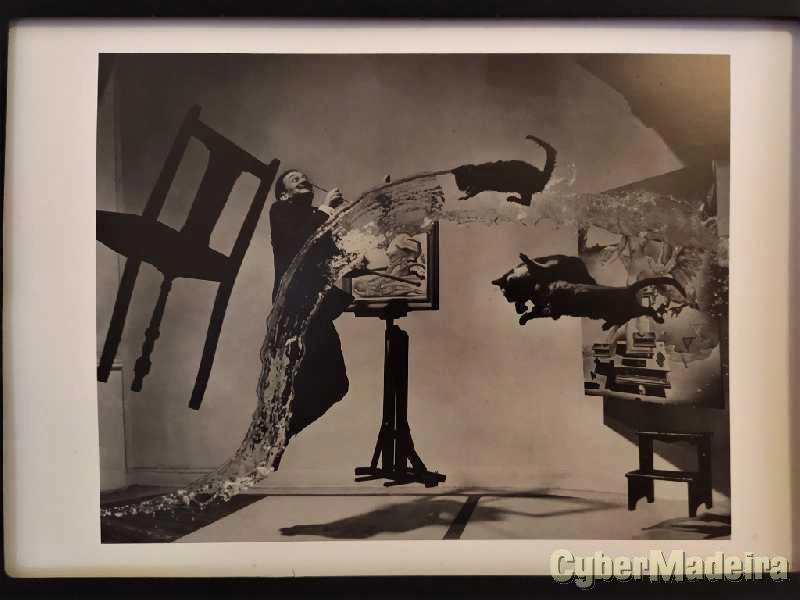 Grandes Fotógrafos Século XX