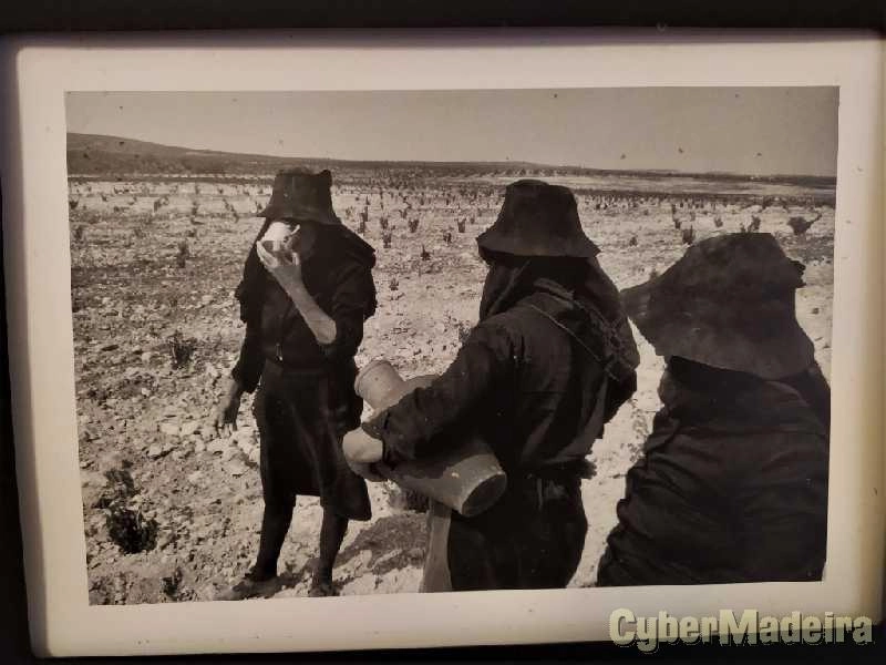Grandes Fotógrafos Século XX