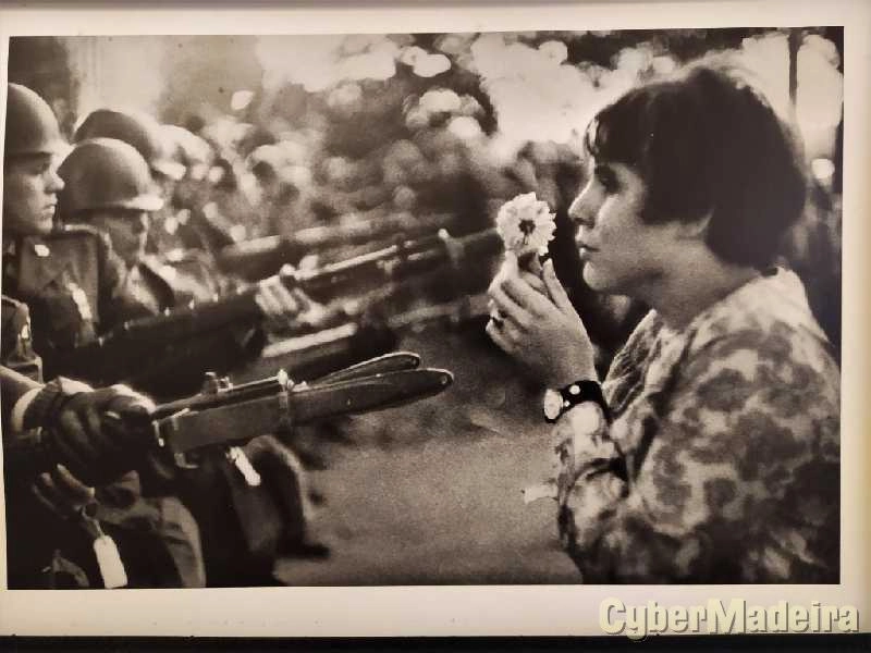 Grandes Fotógrafos Século XX
