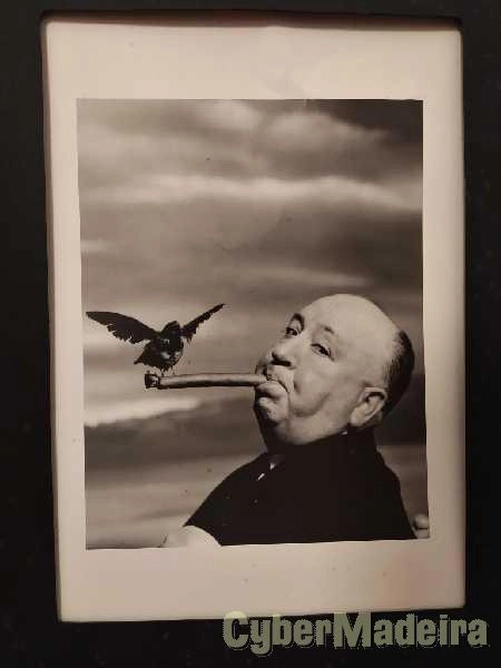 Grandes Fotógrafos Século XX