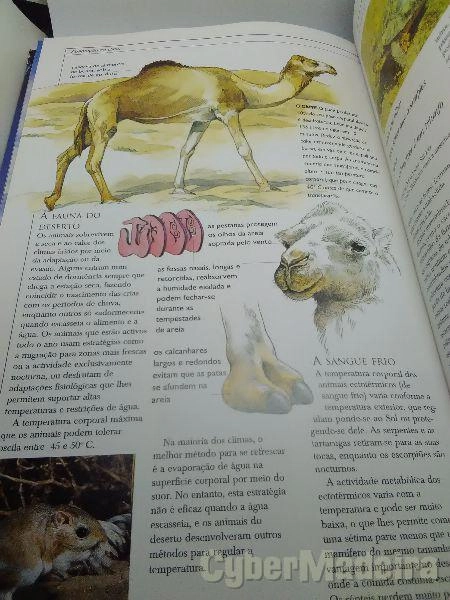 Livro Observar o tempo