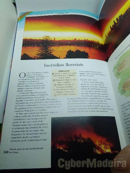 Livro Observar o tempo
