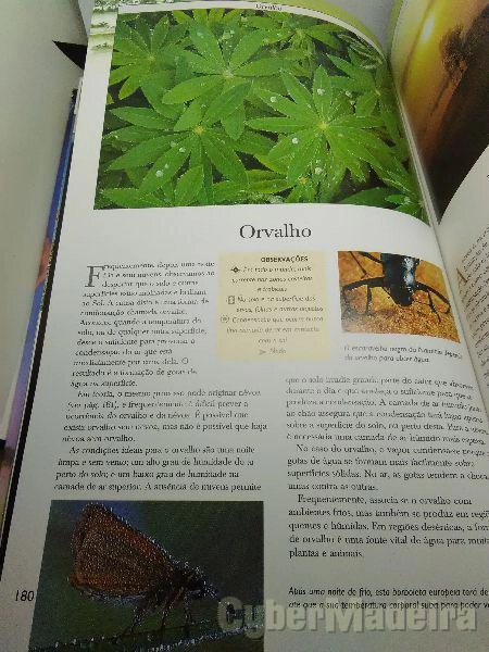 Livro Observar o tempo