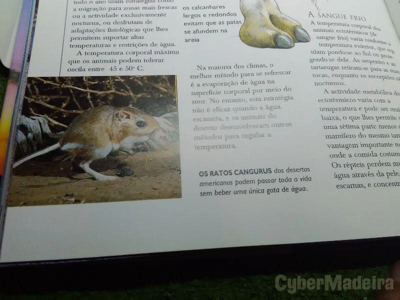 Livro Observar o tempo
