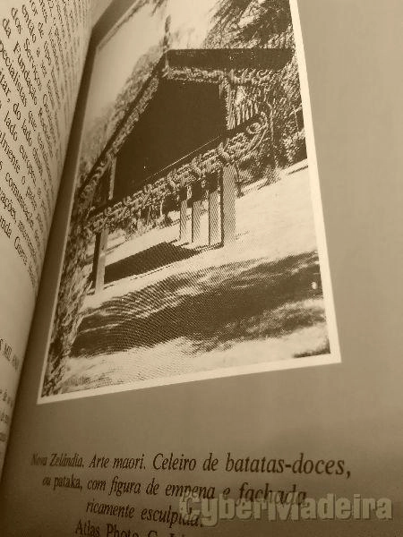 As grandes descobertas