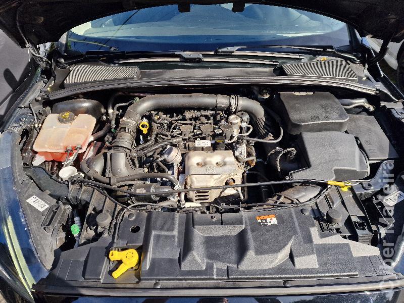 FORD FOCUS SW 1.0 ECOBOOST BUSINESS 125cv Gasolina