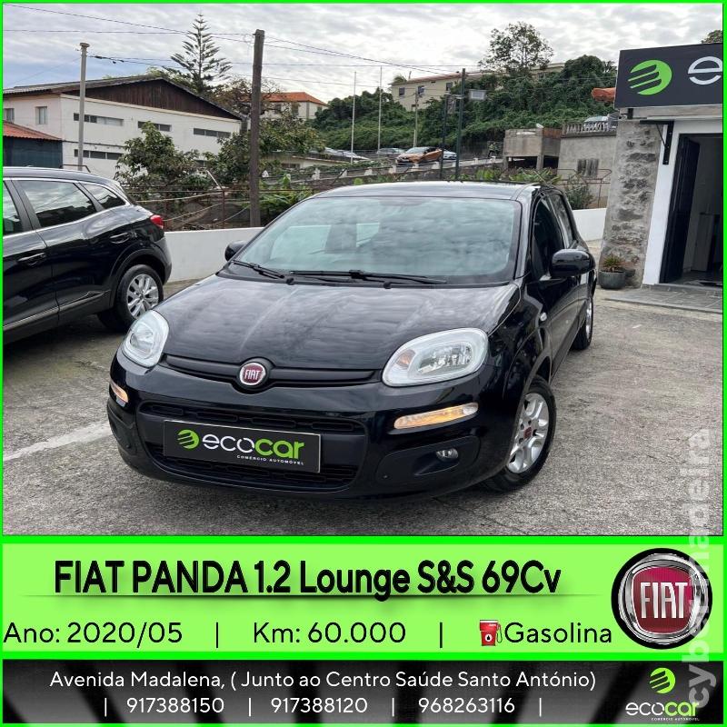 FIAT PANDA 1.2 Lounge 69 CV Gasolina 