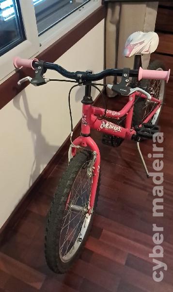 Bicicleta com suporte para transporte no carro Outros Menina Bicicleta com suporte para transporte no carro 