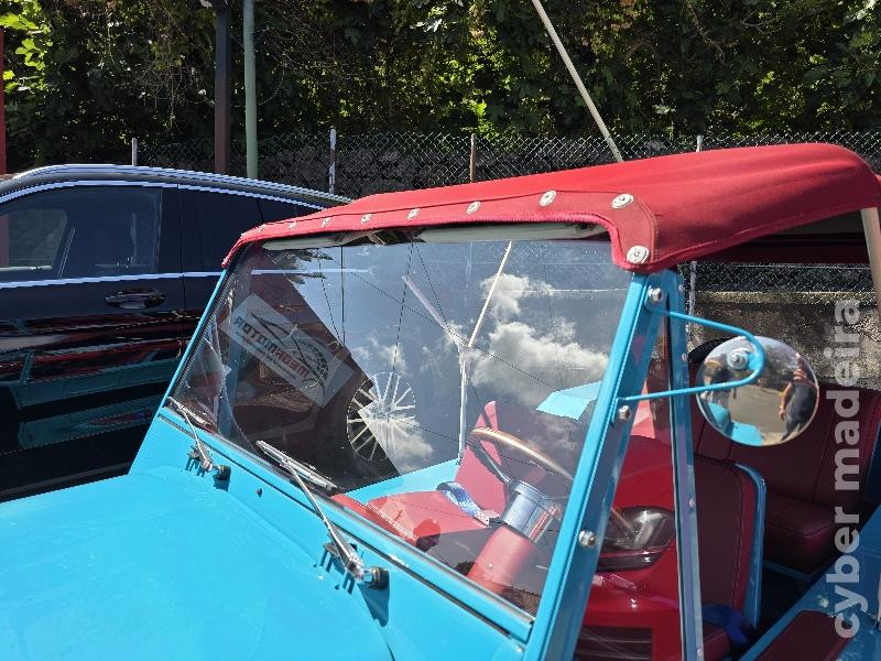 MINI MINI 745 Gasolina 70 