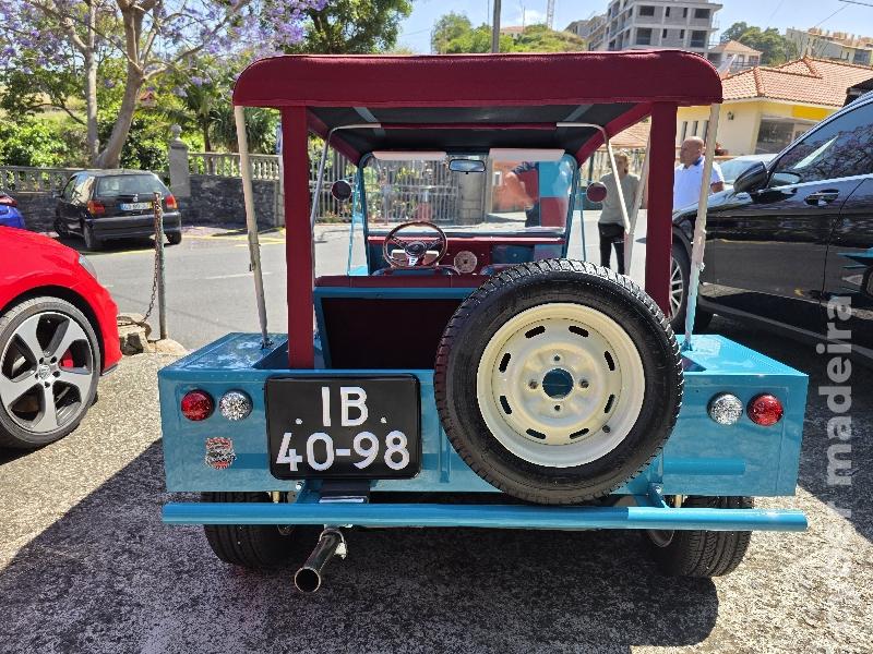 MINI MINI 745 Gasolina 70 