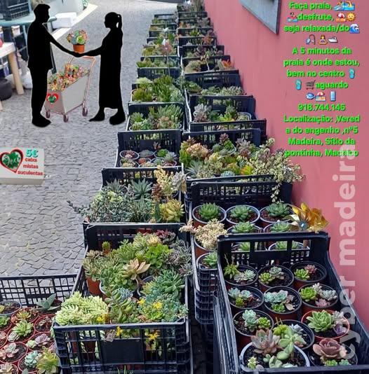 VARIOS ACESSORIO 