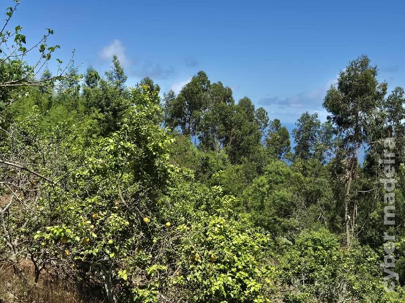Terreno T0 para Venda 