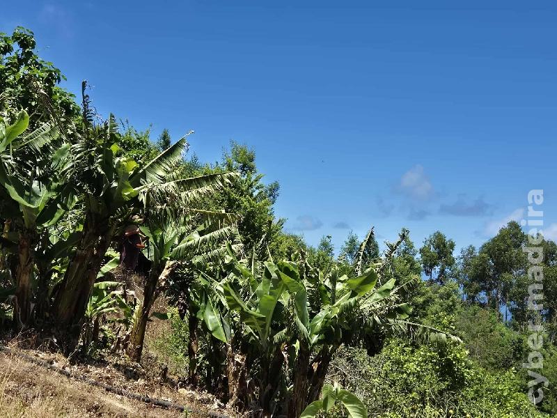 Terreno T0 para Venda 