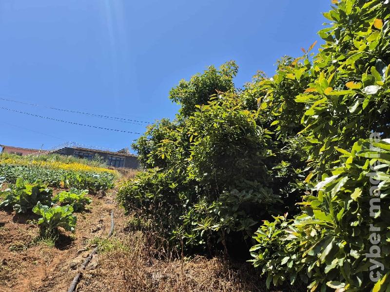 Terreno T0 para Venda 