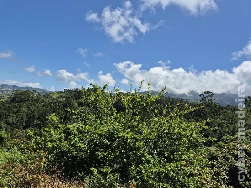 Terreno T0 para Venda 