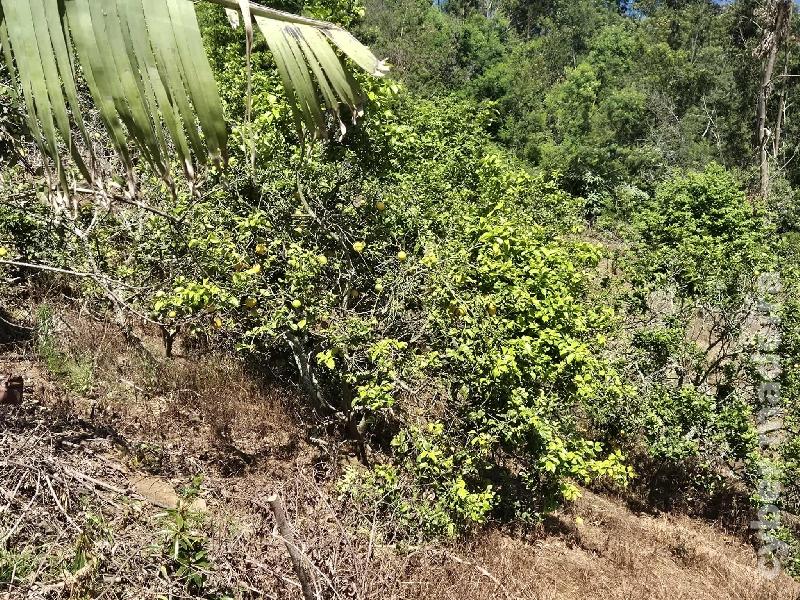Terreno T0 para Venda 