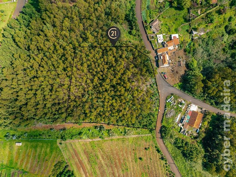 Terreno Outros para Venda 
