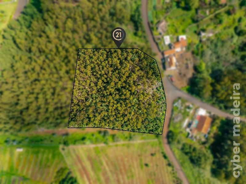 Terreno Outros para Venda 