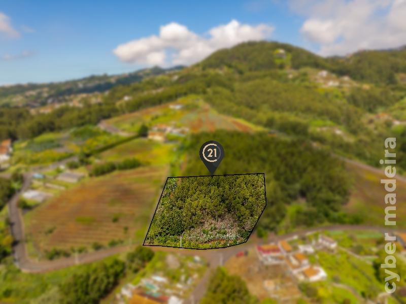 Terreno Outros para Venda 